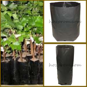 ������ ��� �������� ������ ������ ��� ������� ����������� ����������� - ����������� 1