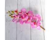 ������� � ����������: ������ ��� ����������