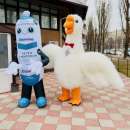 ������ ��� ���������� - ����������