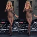 ������ ��� �����������. ������������ ������ - �������/�������