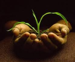 ������ ��� ����������� . ������ ����� ���������� �������� � �����������: ������ �����, ������ ��������� - ����������� 1