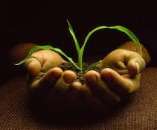 ������ ��� ����������� . ������ ����� ���������� �������� � �����������: ������ �����, ������ ���������