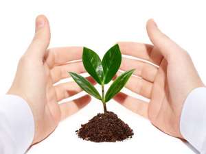 ������, ���, ������������������� ������� - ����������� 1