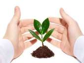 ������� � ����������: ������, ���, ������������������� �������