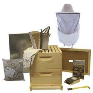 ������ ���� 10-�� �������� ����� 300 - ����������� 1