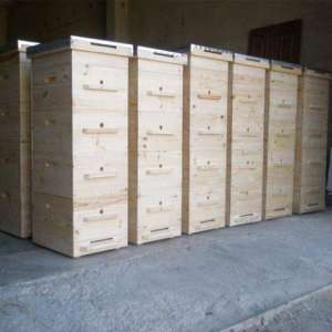 ������ ���� 12-�� �������� 145 �� - ����������� 1