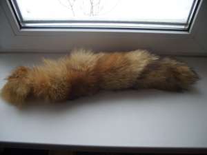 ������ ���� 2 ��. �� �������� - ����������� 1