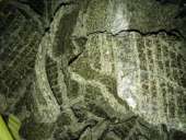 ������ ���� 41 - 42 % ������� - ����������� 3