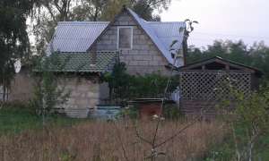 ������ ���� - ����������� 1