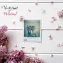 ������ ���� Polaroid - ����������� 3