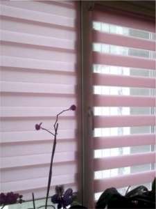 ������ ���� � ���� - ����������� 1