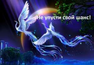 ������ ���� � ����. ������ �������� �� ����������. - ����������� 1