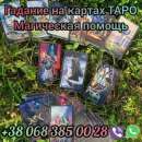 ������� � ����������: ������ ���� � �����. ��������. �������.