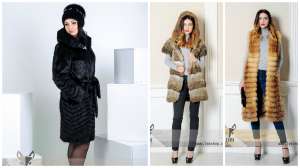 ������ ���� � ������� ������� �� ������������� �������� - ����������� 1