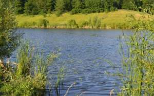 ������ ���� � �������� ������� - ����������� 1