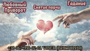 ������ ���� � �������� ���������. �������. ������ �����. - ����������� 1