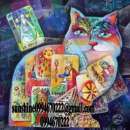 ������� � ����������: ������ ���� � ������������� ���������. ����. ������� �������. �������