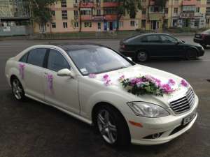 ������ ���� �� ������� � ���������������. - ����������� 1