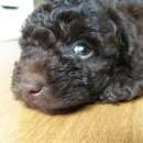 ������ ���� ��� ������. ���� ������� - ����������� 2