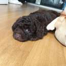 ������ ���� ��� ������. ���� ������� - ����������� 3