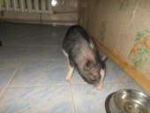 ������� � ����������: ������ ���� ����