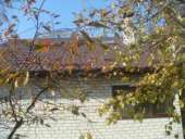 ������ ���� (���� ����� ���������) � ������� ������ - ����������� 2