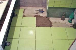 ������ ���� ���� ������� ���������� �������� - ����������� 1