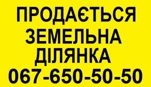 ������ ���� ����. ����������� ���, ������ ���� ������ 1,5 ��. || �. �������. ������ ����� �ȯ�. - ����������� 1