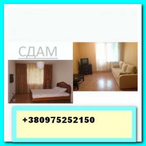 ������, ����. ���� ������������� ��������,������ �����,���������� - ����������� 1