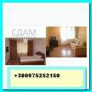 ������� � ����������: ������, ����. ���� ������������� ��������,������ �����,����������