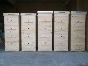 ������ ���� "�����" - ����������� 1