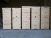 ������ ���� "�����"