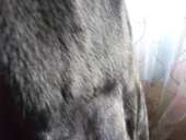 ������ ���� ����� �� �����. - ����������� 3