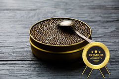 ������ ���� ����� ������� ���� ����� - ����������� 1