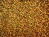 ������ ����, ����� ������� �������� �� 10-15 ����, ��������, ����������� �������. - ����������� 2