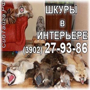 ������ ���� ������ - ����������� 1