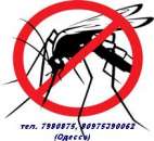 ������� � ����������: ������ ���� ������. ���� ��������� �����