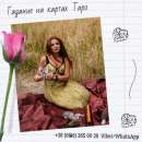 ������� � ����������: ������ ���� ������. ������ �������� ������. �������. ���������.