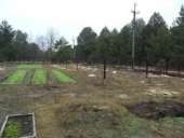 ������ ���� ������ ������� 25���. ����������� ������������� �-�� - ����������� 1