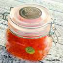 ������� � ����������: ������ ���� ������. ������� ���� �������, �����, ����, ������, ������.