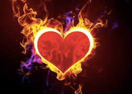 ������ ���� ��������. �������� �������� ��������. ����������� ����� ��������. - ����������� 1