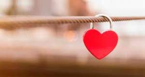 ������ ���� ����������. �������� �������� ����������. ����������� ����� ����������. - ����������� 1