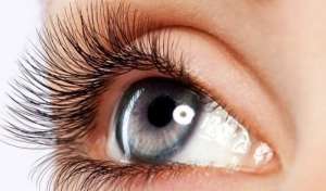 ������ ���� ������������� + ������ ������ � ������ - ����������� 1