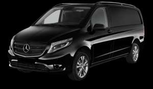 ������ ���� �����-���������, ��������, ������ - ����������� 1