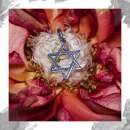 ������ ����� ✡ �ǳ��� ������. ��������� ������� - �������/�������