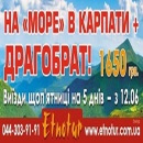 ������� � ����������: ������ ����� 2015 � �������� ������� ����