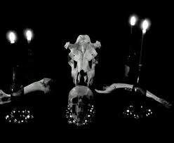 ������ �����. - ����������� 1