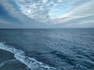 ������ ����� � 10 ������ �� ����. ��� ��������. - ����������� 1