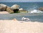 ������ ����� � ��� ��� ��� �� ������ �������! - ����������� 2