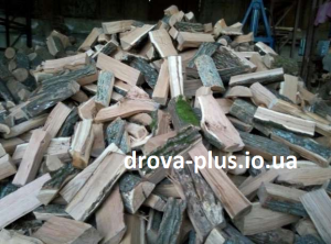 ������ ����� � �����, ���� �� ����� ���� - ����������� 1